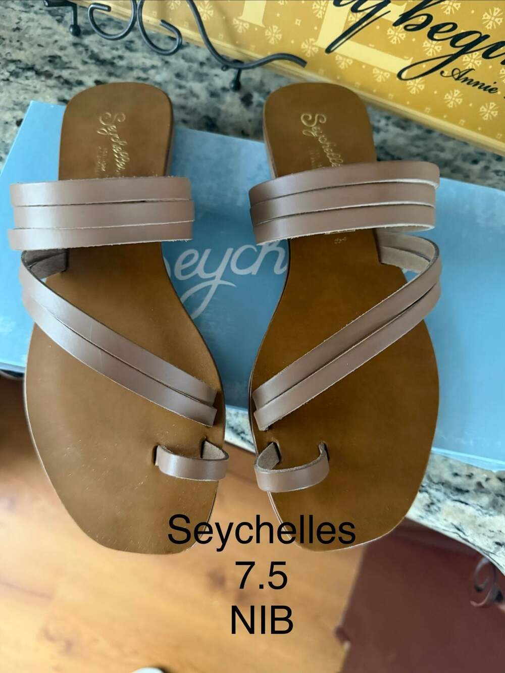 Seychelles Summer Rain Toe Loop Slide Sandals